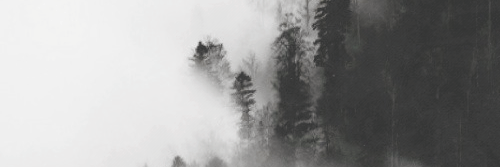 AustereEnigma's profile banner image