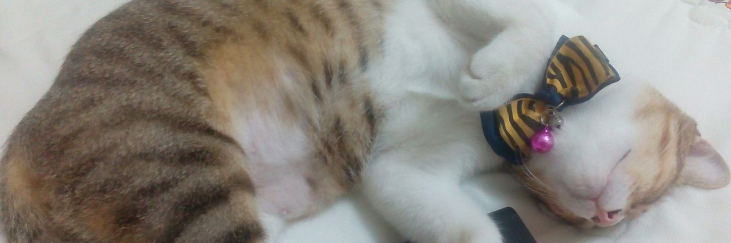 IeyqaAeqa's profile banner image