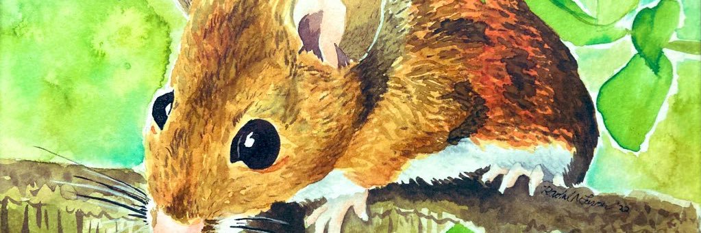 Rachel Larson, PhD banner