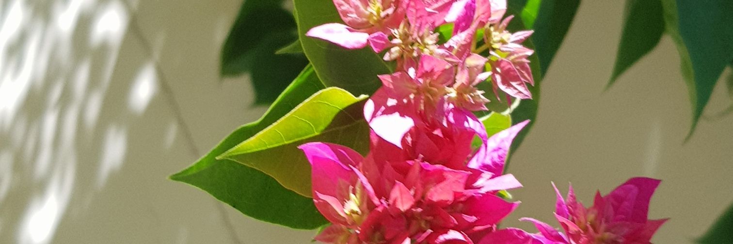 Hgk3_'s profile banner image