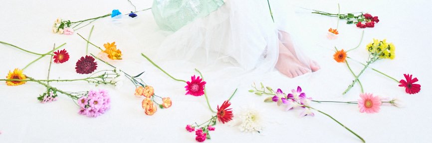 rippialoha's profile banner image