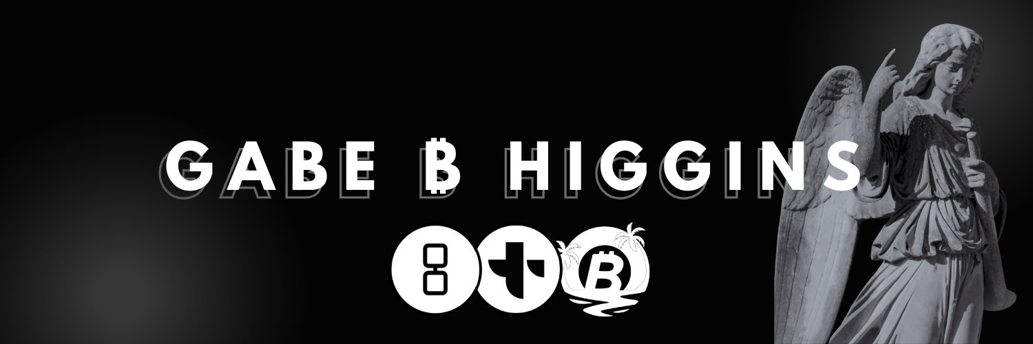 Gabe ₿ Higgins banner