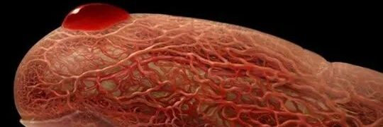 #معلمو_الأحياء banner