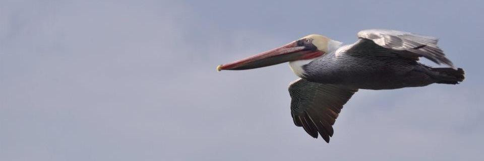 AnurRander's profile banner image