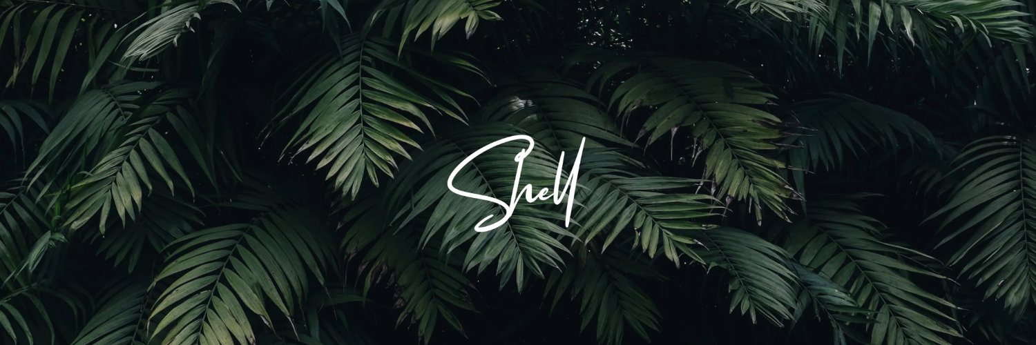 djshell_ofc's profile banner image