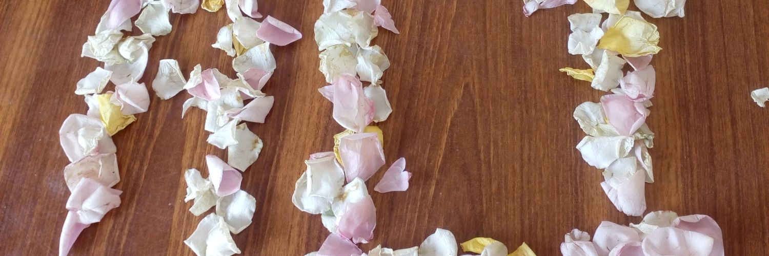 🌷‏بابــــــ𝓐𝓛𝓘ـــــر 🌷 banner