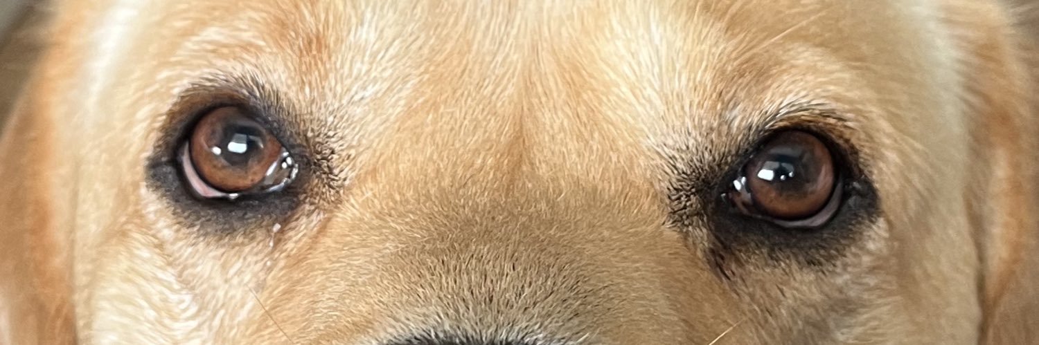 roberramireezz's profile banner image