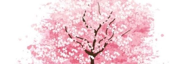 musecrescent's profile banner image
