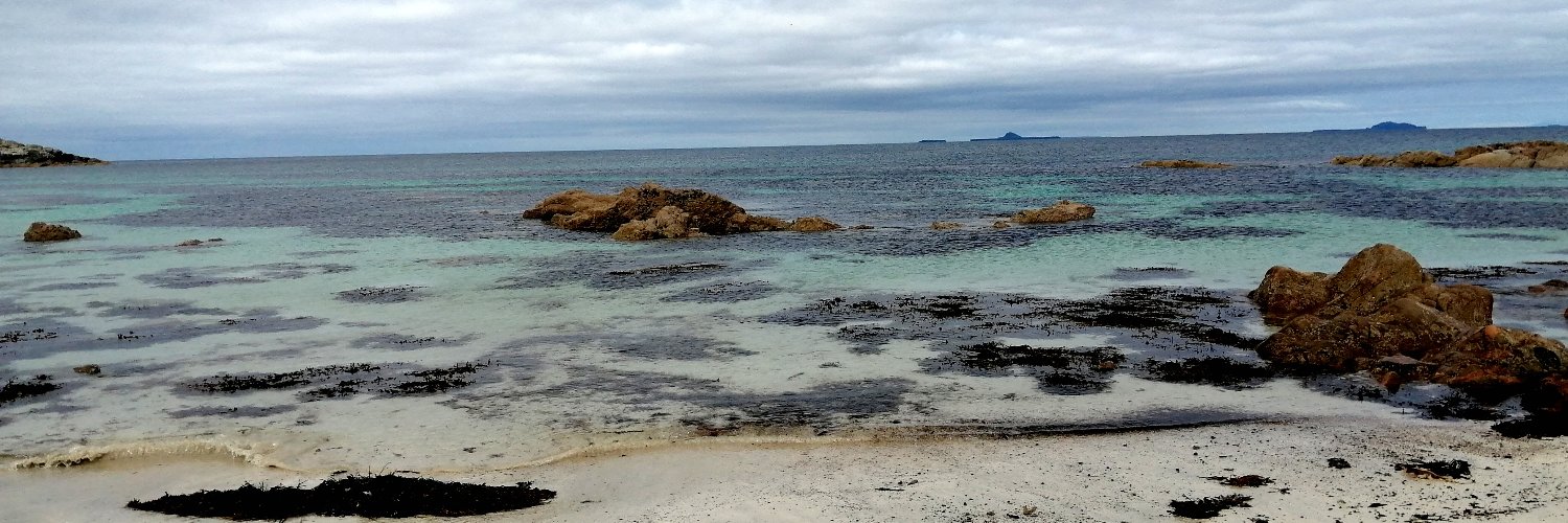 FionaMcCulloch's profile banner image