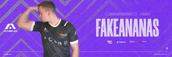 FakeAnanas Profile Banner