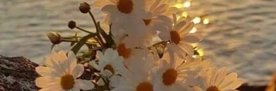 shm14366's profile banner image