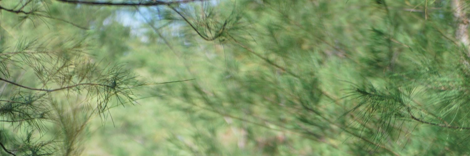 WijilR's profile banner image
