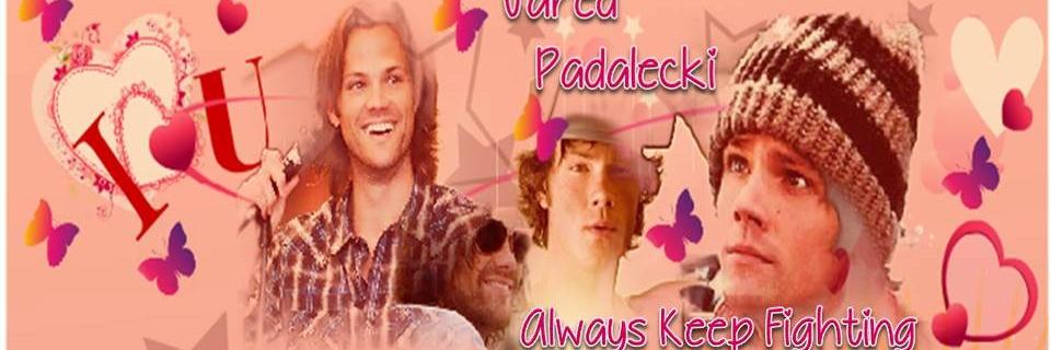 lidiac01's profile banner image