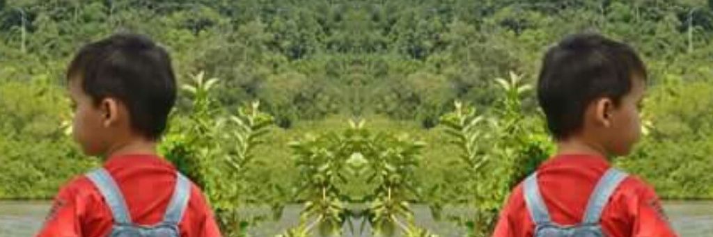vasfuden's profile banner image