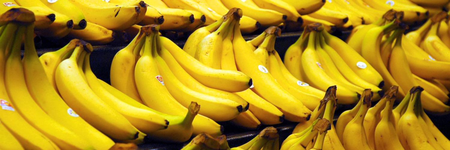 Auspicious Banana banner