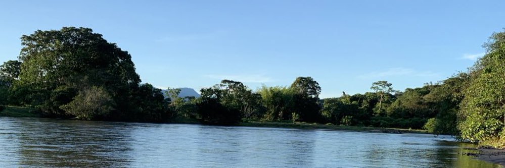 AlaOrillaDelRío 🌿 banner