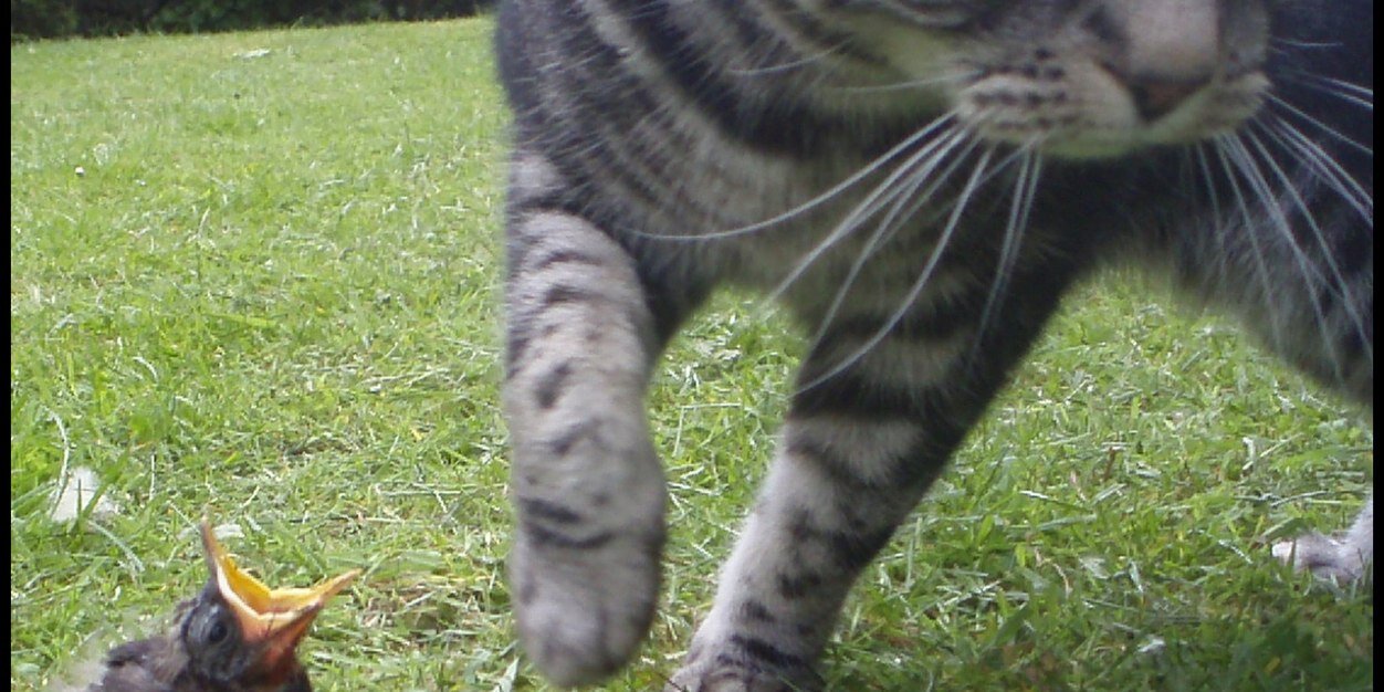 Stephen Evans banner