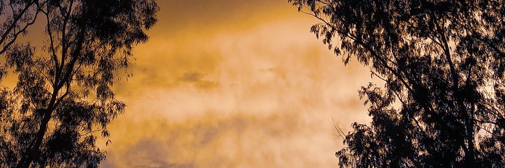 imjain2000's profile banner image