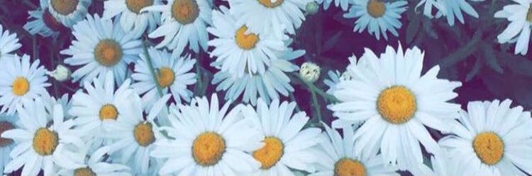 HessingAubree's profile banner image