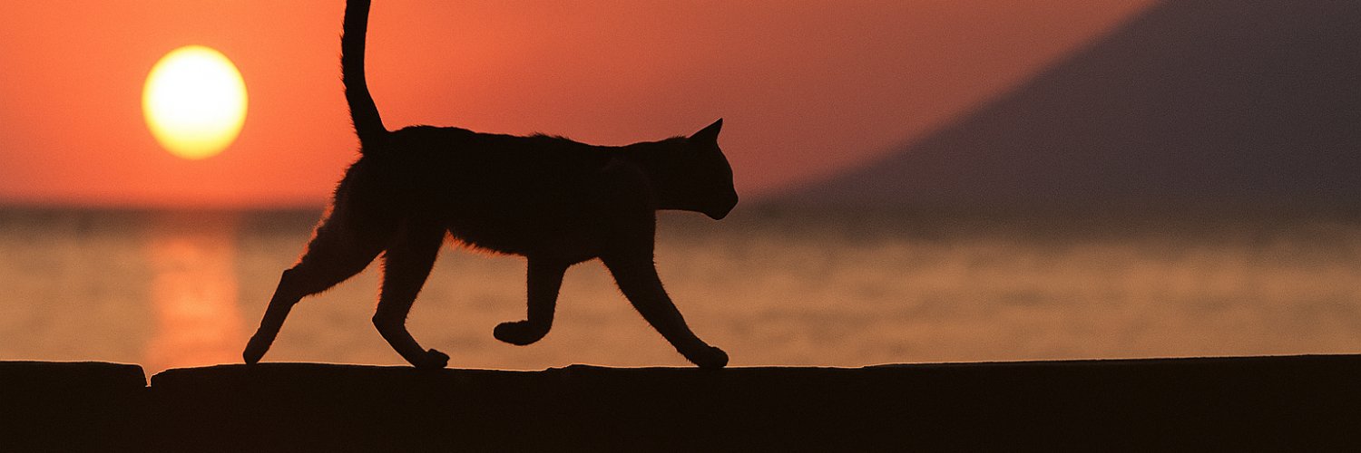 Bitcrypto_'s profile banner image