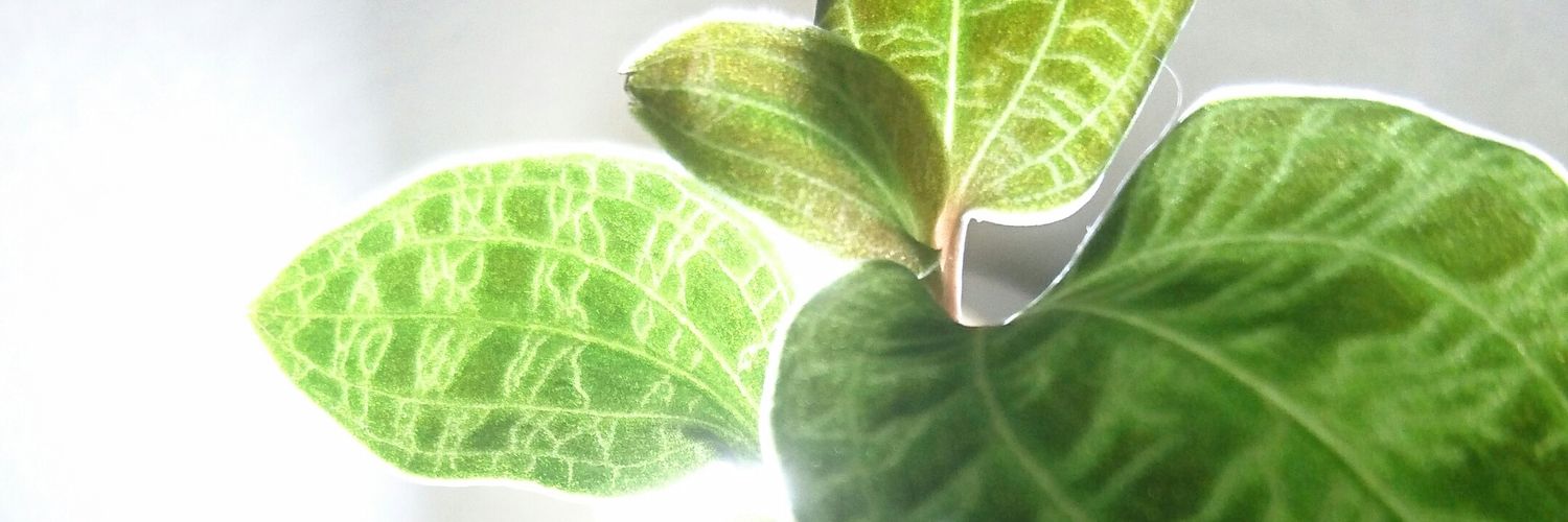S_CK_M15's profile banner image