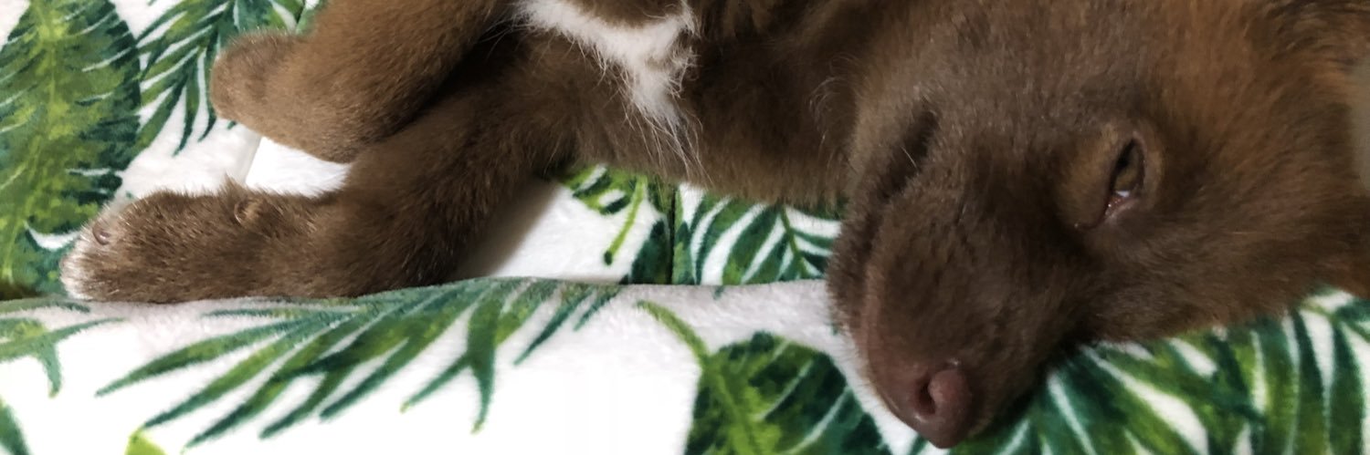kkksnkn's profile banner image