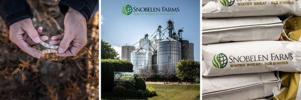 SnobelenGrain Profile Banner