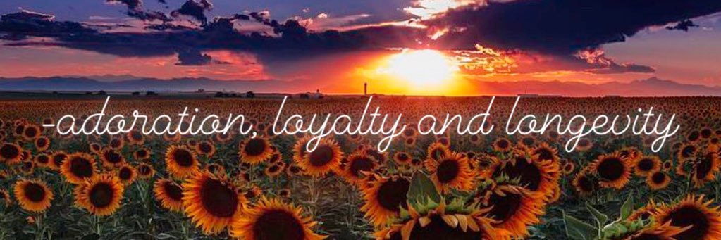 Shari_cee's profile banner image