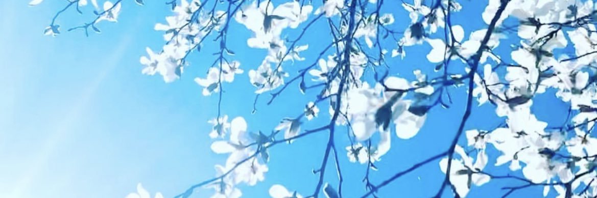 E1181_'s profile banner image