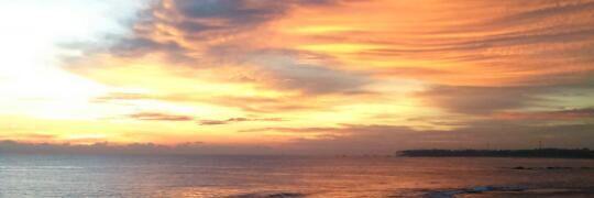 murty_mmm's profile banner image