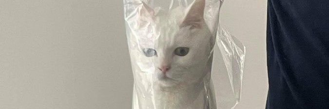 udaCHANWON's profile banner image