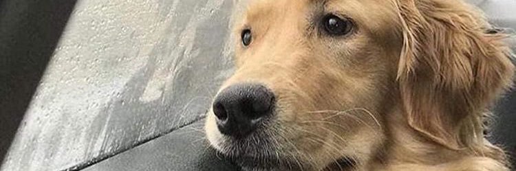 yasockmk's profile banner image