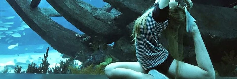 _llyne's profile banner image