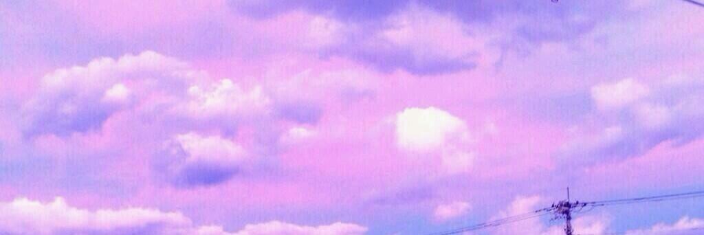r🐥 banner