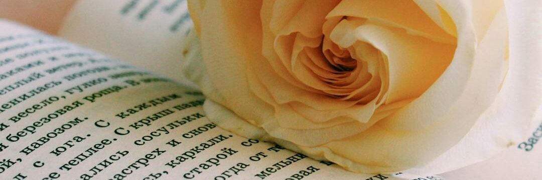 iremarslan3232's profile banner image