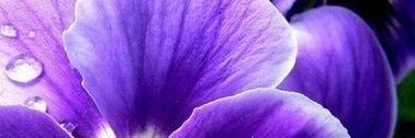 hd_lut's profile banner image