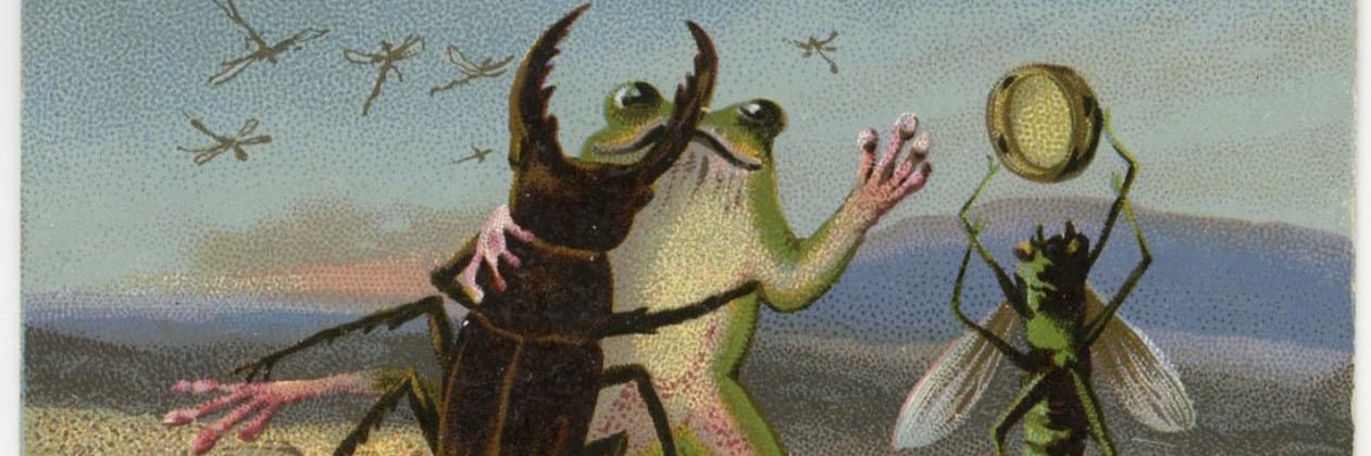 Bullfrogstar's profile banner image