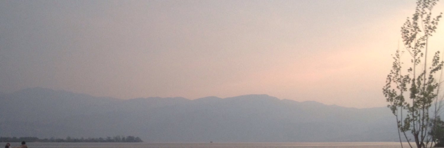 Leav1nHom's profile banner image