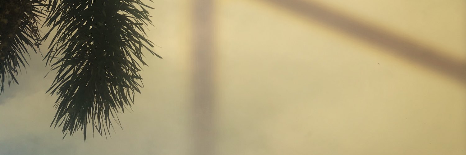 arastirna's profile banner image