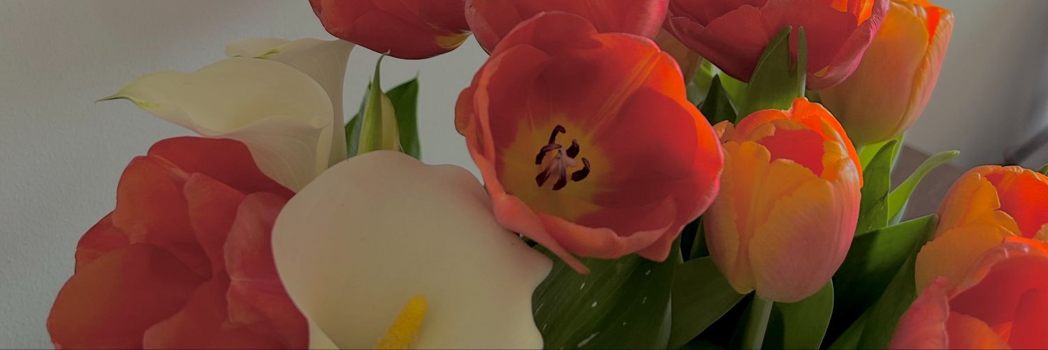 jh0pera's profile banner image
