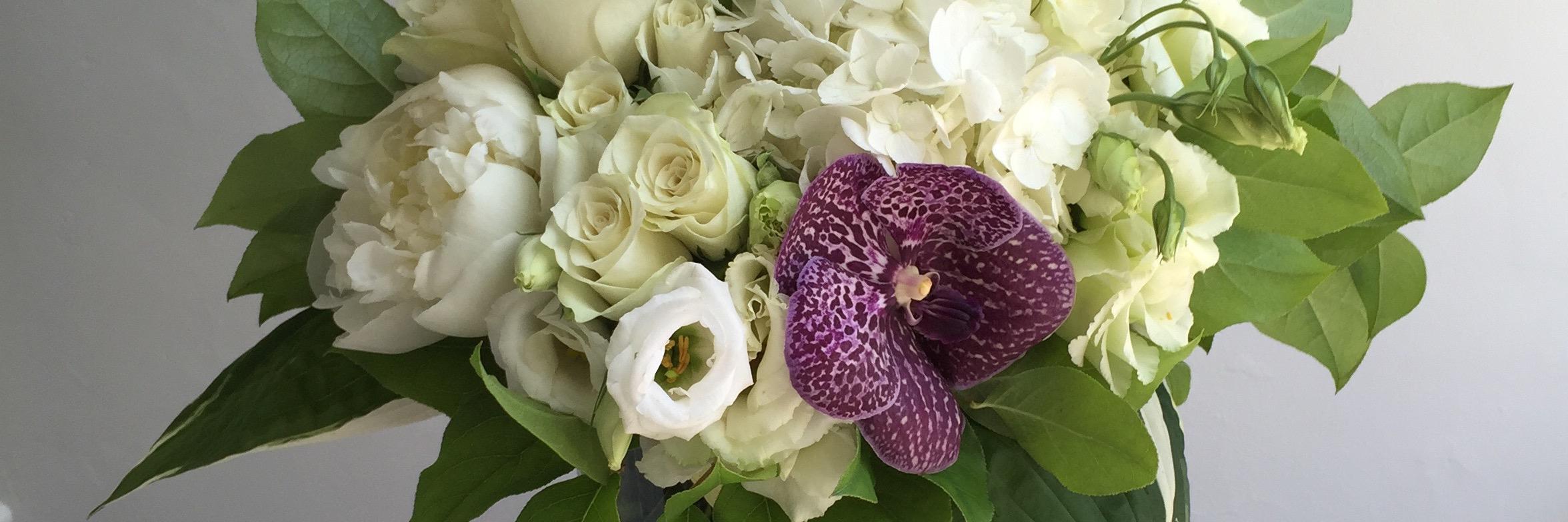 wanderbrdfloral's profile banner image