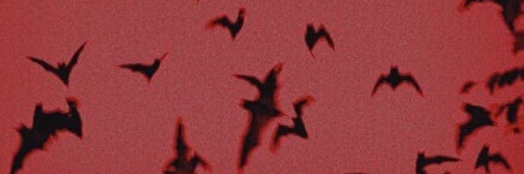 harrietdimples's profile banner image