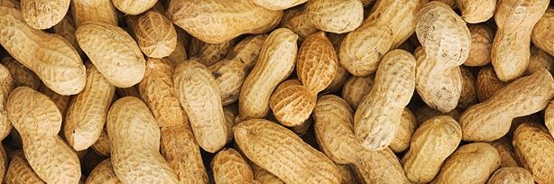 carverpeanuts's profile banner image