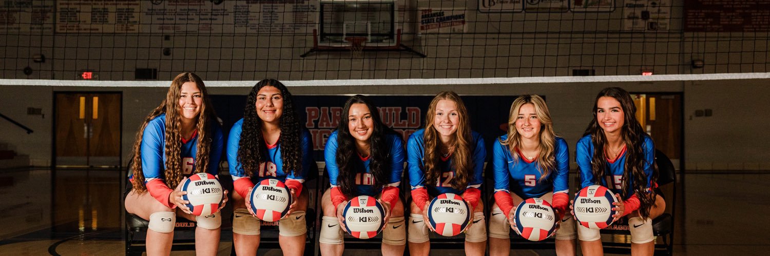 LadyRamVball's profile banner image