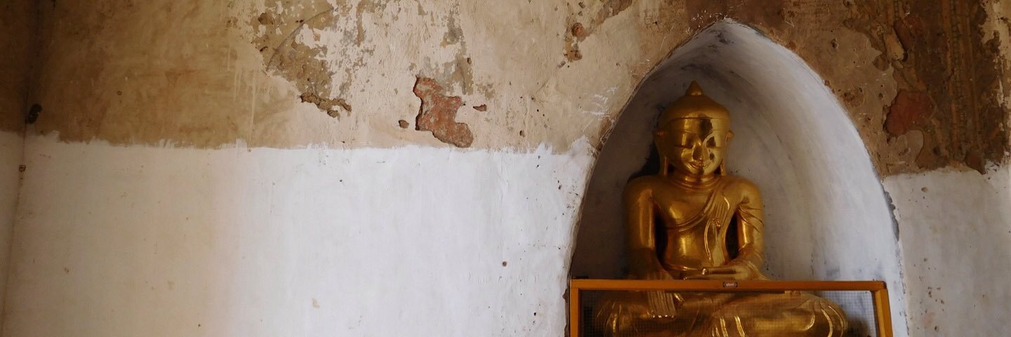 Gemma Coldicott banner