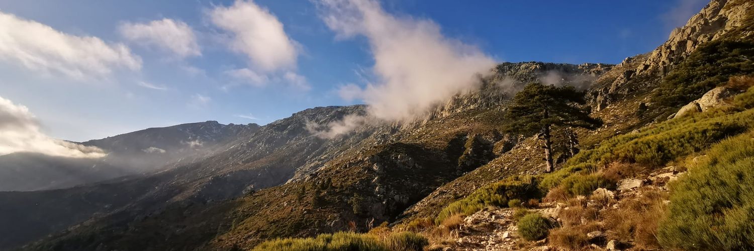 cchinar7's profile banner image