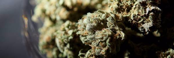 thecityspliff's profile banner image