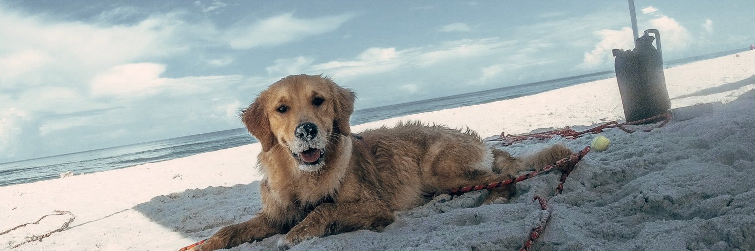 CarlyRucker's profile banner image