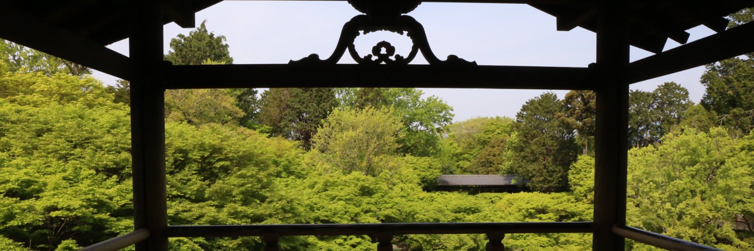 minniestei's profile banner image