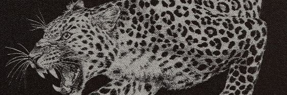 Chaamlbt's profile banner image